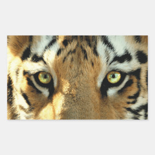Rectangulaire Tigre 1 - Sticker
