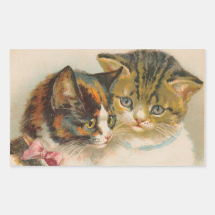Rectangulaire Une paire de chatons par Helena Maguire Sticker Sh