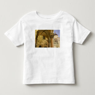 Rector's Palace Arches with Dubrovnik Cathedral Toddler T-shirt
