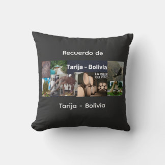 Recuerdo de Tarija Throw Pillow