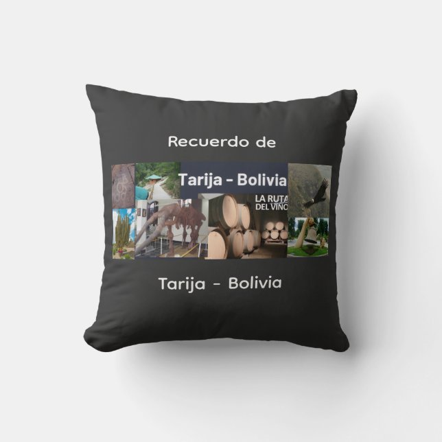 Recuerdo de Tarija Throw Pillow (Front)