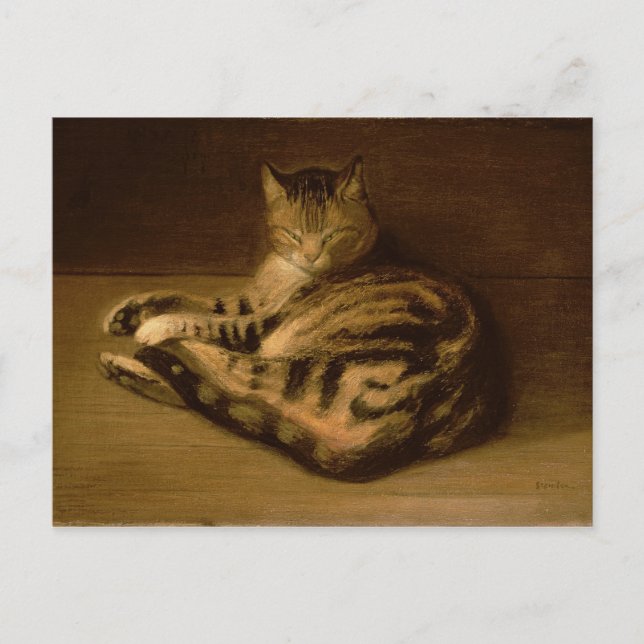 Recumbent Cat, 1898 Postcard (Front)