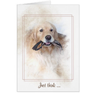 récupérateur d'or avec laisse dans la bouche