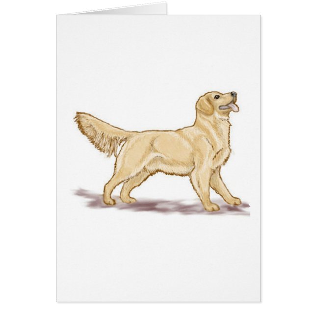 Récupérateurs d'or (Devant)