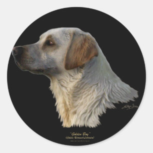 RÉCUPÉRER LES Stickers DE CHIEN LABRADOR