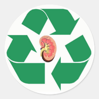 Recycle kidney classic round sticker