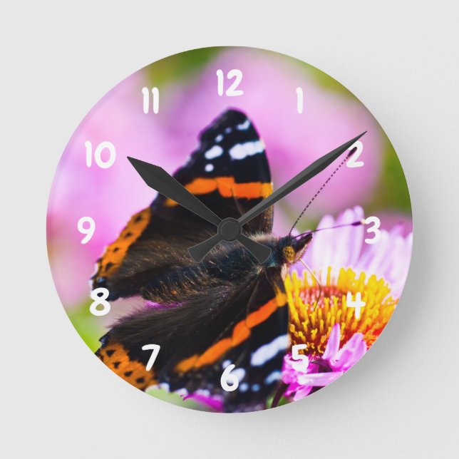 Red Admiral Butterfly Acrylic wall clock (Front)