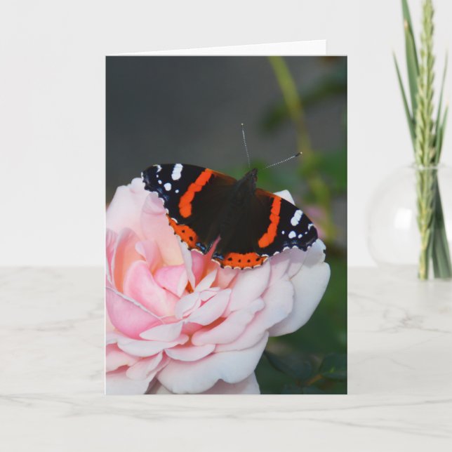 Red Admiral butterfly Card (Front)
