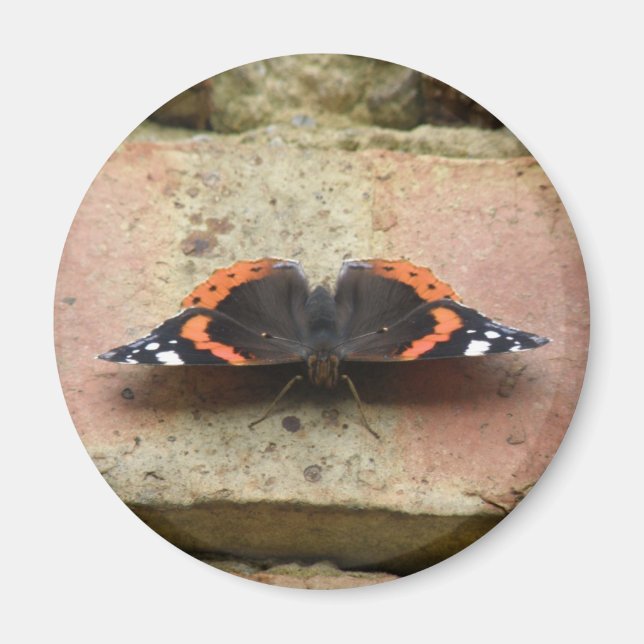 Red Admiral Butterfly Magnet (Front)