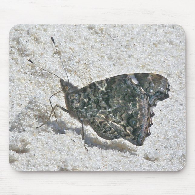 Red Admiral Butterfly on Beach Coordinating Items Mouse Pad (Front)