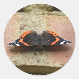 Red Admiral Butterfly Stickers