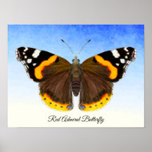 Red Admiral Butterfly Watercolor Painting Poster