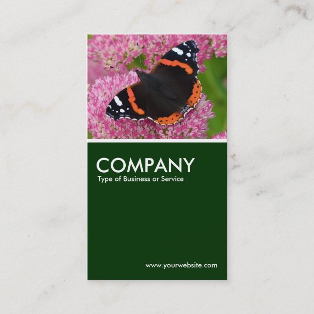 Red Admiral on Sedum (Autumn Joy) - Dark Green Business Card (Front)