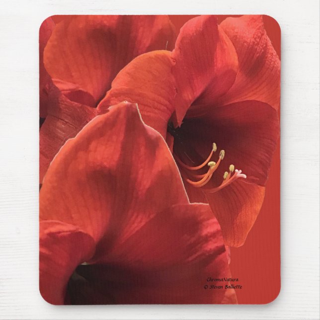 Red Amarllyis grouped across this  Mouse Pad (Front)