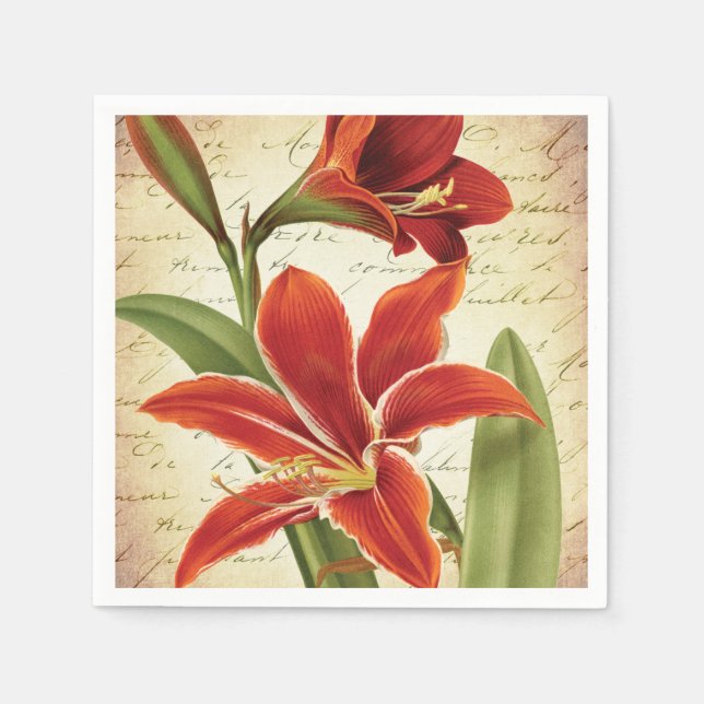 Red Amaryllis Christmas Flower Botanical Napkin (Front)