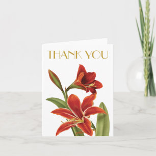 Red Amaryllis Christmas Flower Vintage Botanical Holiday Card