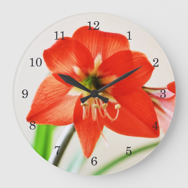 Red Amaryllis Flower Large Clock (Front)