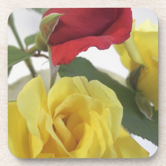 Red amd Yellow Roses Coaster (Front)