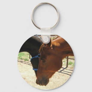 Red and Black Horse Friends Share a Secret Keychain