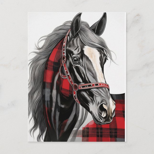 Red and Black Plaid Horse  Postcard (Front)