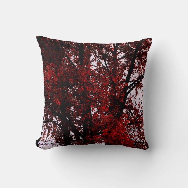 Red and Black Throw Pillow (Front)