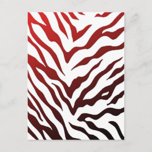 Red and Black Zebra Stripes Postcard