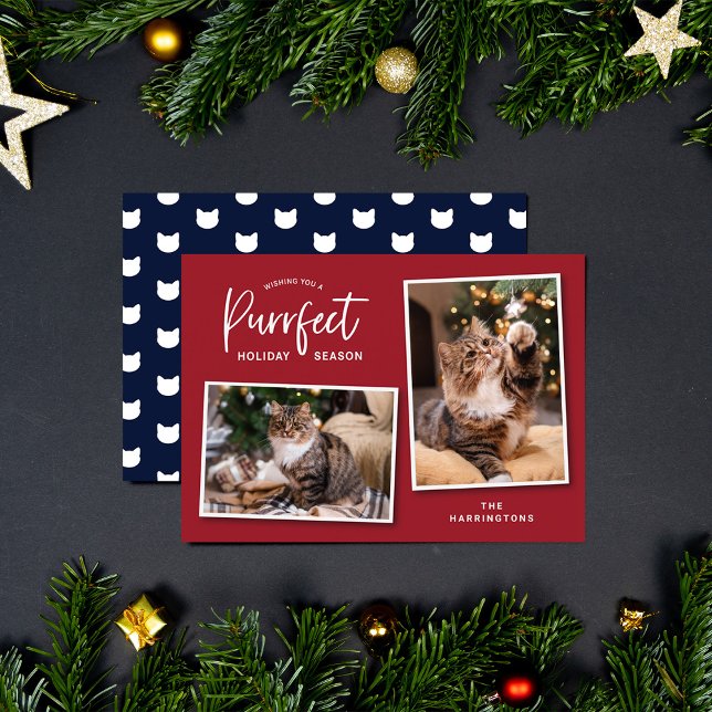 Red and Blue Cat Face Purrfect Holiday Photo Card (Creator Uploaded)