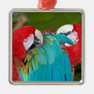 Red and blue macaw parrot print metal ornament