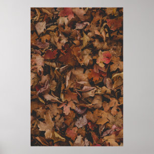 RED AND BROWN LEAVES ON GROUND POSTER