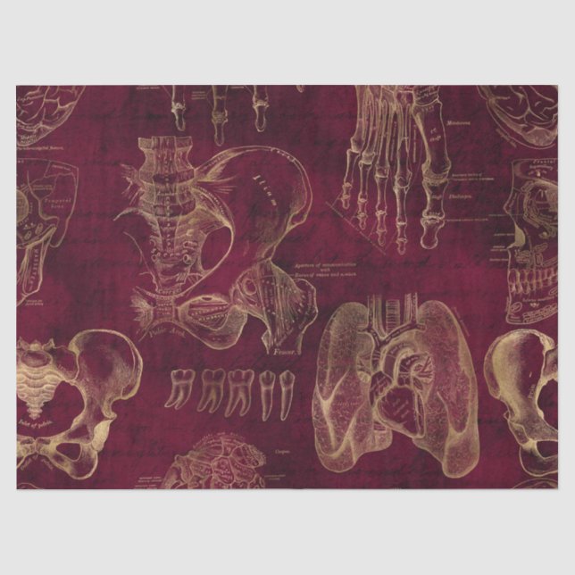 Red and Gold Anatomy Drawing on Red Decoupage Tissue Paper (Front)