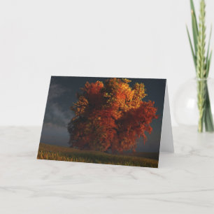Red and Gold Greeting Card