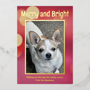 Red and Gold Photo Foil Holiday Card