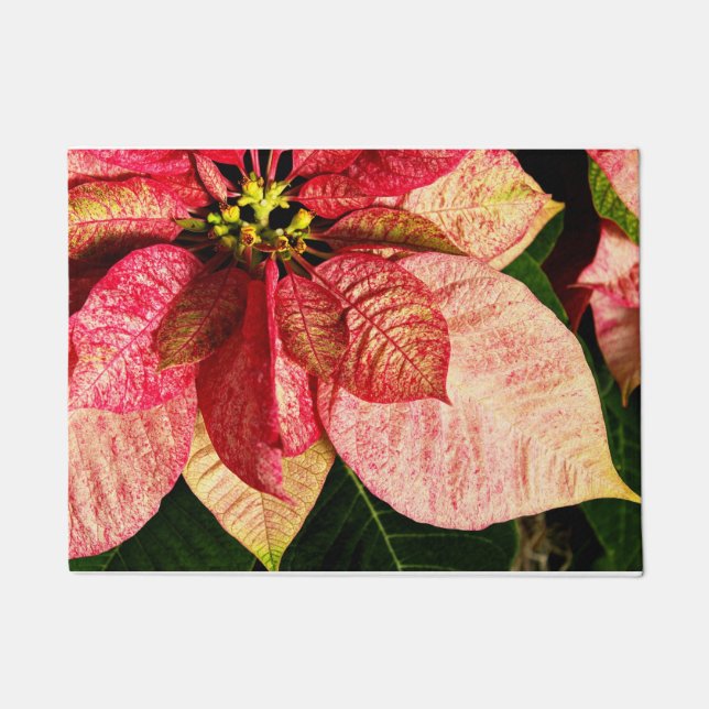 Red and Gold Poinsettia Door Mat (Front)