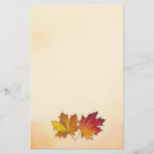 Red and golden maple autumnal leaves Stationery