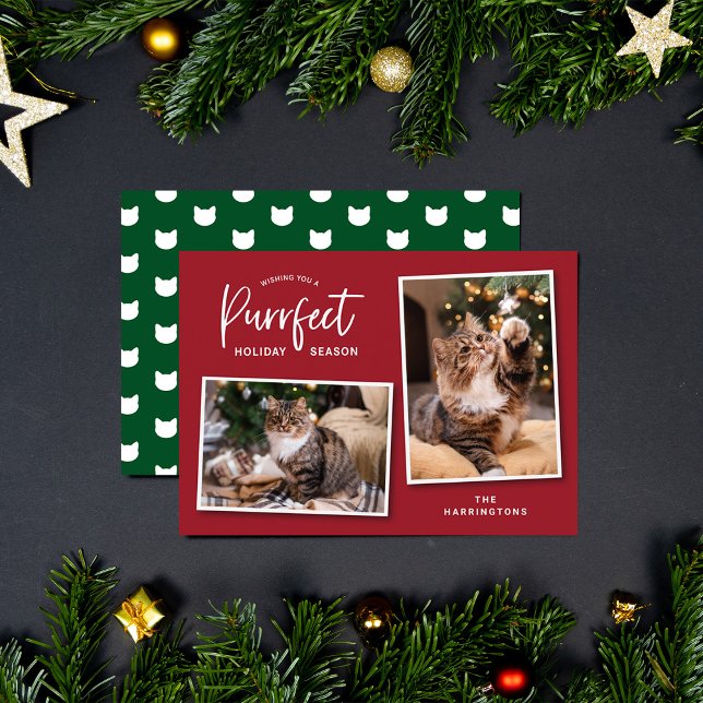 Red and Green Cat Face Purrfect Holiday Photo Card (Creator Uploaded)