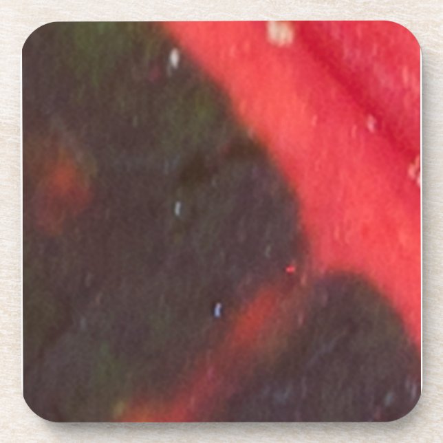 Red and Green Hawaiian Variegated Leaf Coaster (Front)