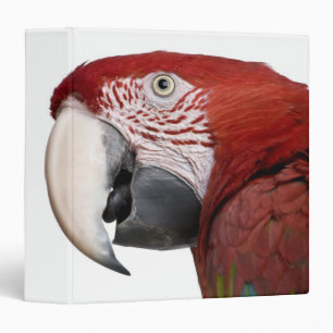 Red-and-green Macaw - Ara chloropterus Binder