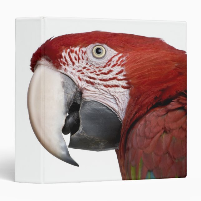Red-and-green Macaw - Ara chloropterus Binder (Front/Spine)