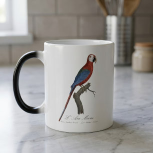 Red-and-green Macaw, Ara chloropterus Magic Mug