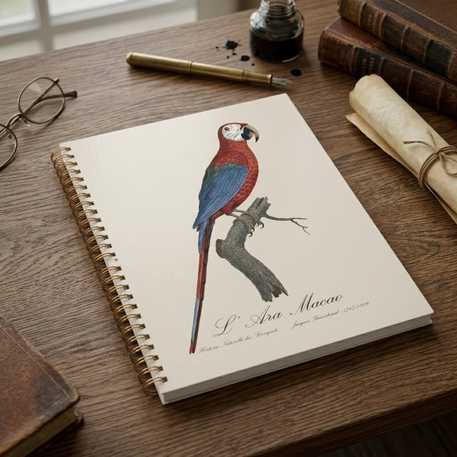 Red-and-green Macaw, Ara chloropterus Planner (Red-and-green Macaw, Ara chloropterus. Planner)