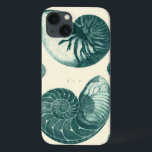 Red and Green Seashell Art iPhone 13 Case<br><div class="desc">Artist Denis Diderot is talented and known for his great sea life images. In this vivid image, he captures two red and green crackled Conch seashells in their most natural style. Conches are often crackled like these two seashells and in a sepia looking tone. Get your seashell product today and...</div>