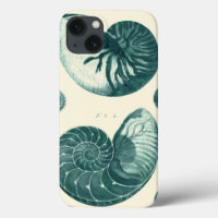 Red and Green Seashell Art