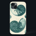 Red and Green Seashell Art iPhone 13 Case<br><div class="desc">Artist Denis Diderot is talented and known for his great sea life images. In this vivid image, he captures two red and green crackled Conch seashells in their most natural style. Conches are often crackled like these two seashells and in a sepia looking tone. Get your seashell product today and...</div>