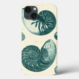 Red and Green Seashell Art iPhone 13 Case