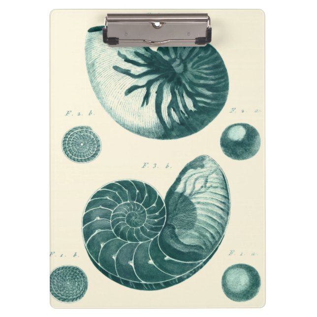 Red and Green Seashell Art Clipboard (Front)
