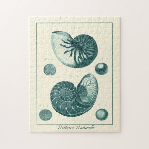 Red and Green Seashell Art Jigsaw Puzzle