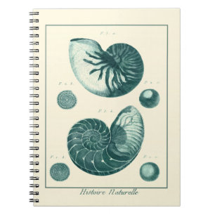 Red and Green Seashell Art Notebook