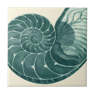 Red and Green Seashell Art Tile