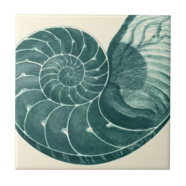 Red and Green Seashell Art Tile (Front)