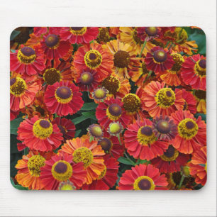 Red and orange helenium flowers mouse pad